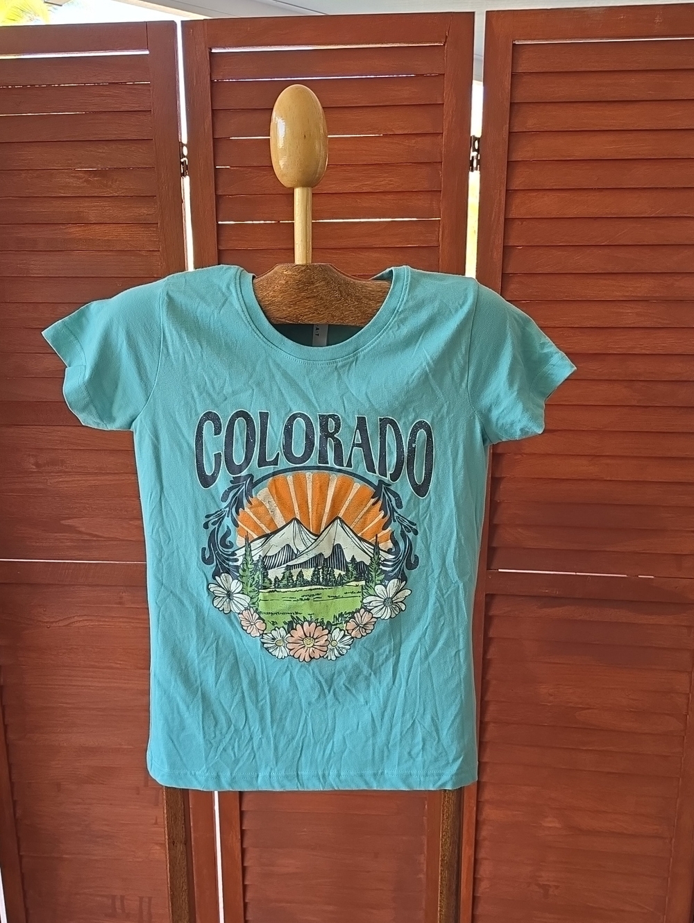 NWOT LAT Apparel Colorado Retro Mountain Graphic Tee Size Small Teal